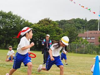 P5310681.jpg
