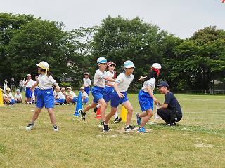P5310731.jpg