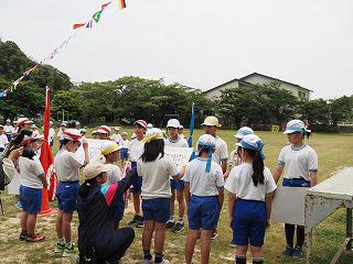 P5310756.jpg