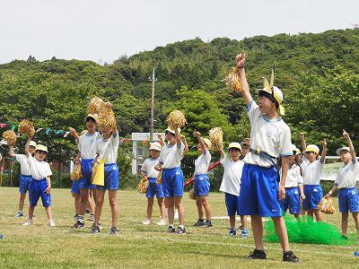 P6010529.jpg