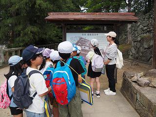 P6100031.jpg