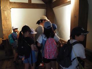 P6100039.jpg