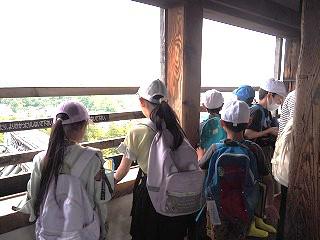 P6100041.jpg