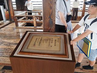 P6100048.jpg