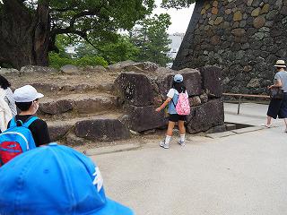 P6100061.jpg