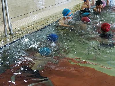 P6100069.jpg