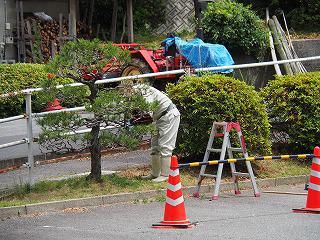 P6170001.jpg