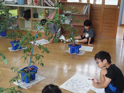 P6170029.jpg