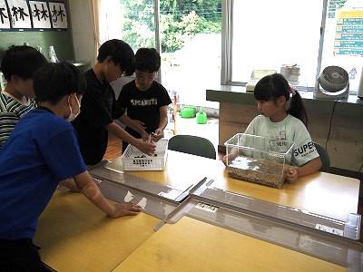 P6190005.jpg