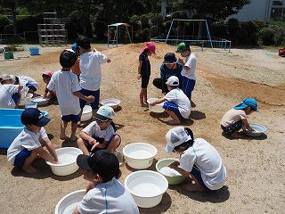 P6210021.jpg