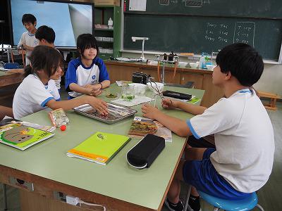 P6260005.jpg