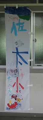 P7050001.jpg