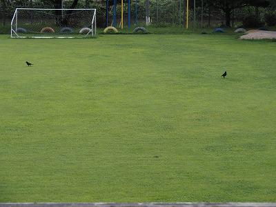 P7110002.jpg