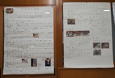 P9100001.jpg