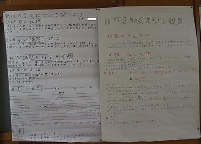 P9100002.jpg