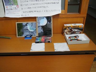 P9100004.jpg