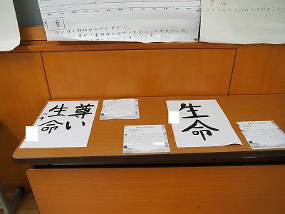 P9100006.jpg