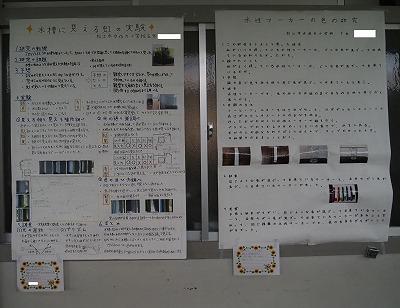 P9100011.jpg