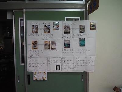 P9100012.jpg