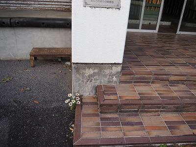 PC060003.jpg