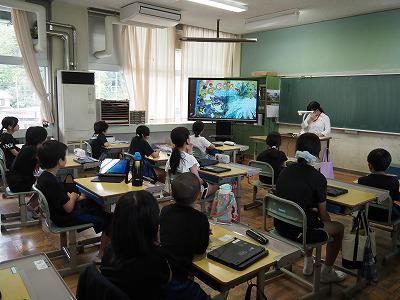 5年.jpg