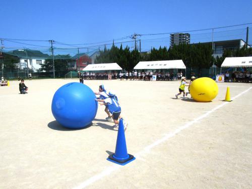 IMG_3322.JPG