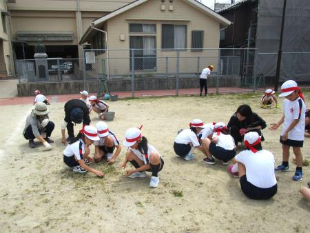 IMG_4063.JPG