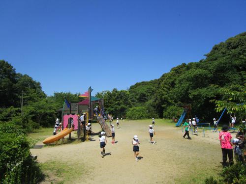 IMG_4959.JPG