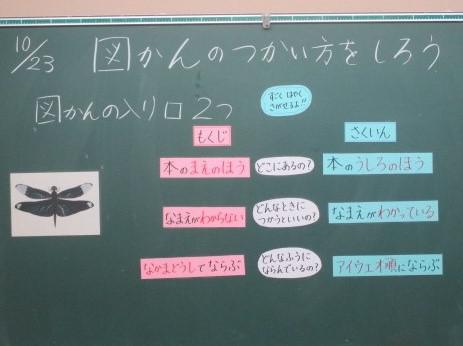 IMG_5665.JPG