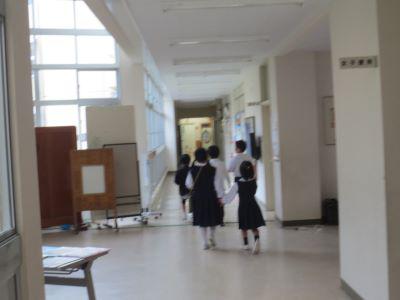IMG_8381.JPG
