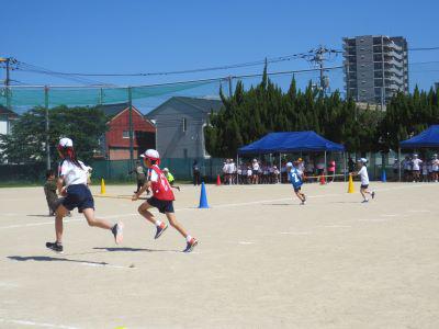 IMG_8502.JPG