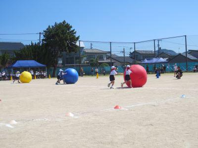 IMG_8514.JPG