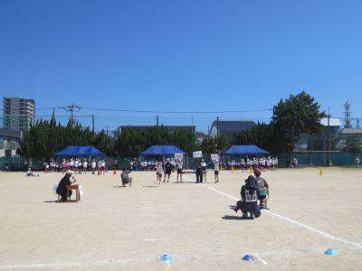 IMG_8517.JPG