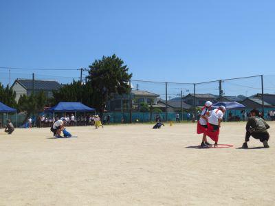 IMG_8527.JPG