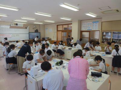 IMG_8652.JPG