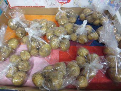 IMG_8674.JPG