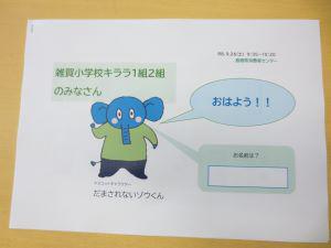 IMG_8849.JPG