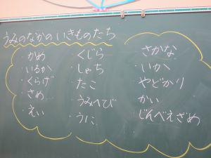 IMG_8881.JPG