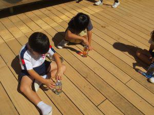 IMG_8886.JPG