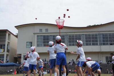 DSC01992.JPG