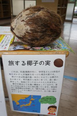 DSC02533.JPG