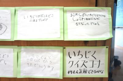 DSC03043.JPG