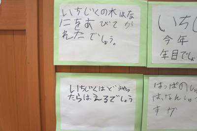 DSC03046.JPG