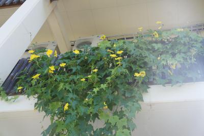 DSC03060.JPG