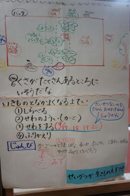 DSC03179.JPG