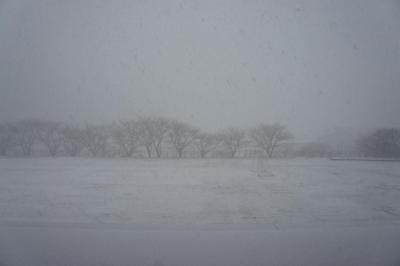 DSC04108.JPG