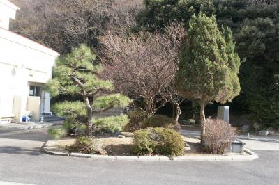 DSC04272.JPG