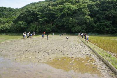 DSC06053.JPG