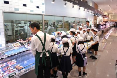 DSC06872.JPG