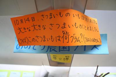 DSC06931.JPG